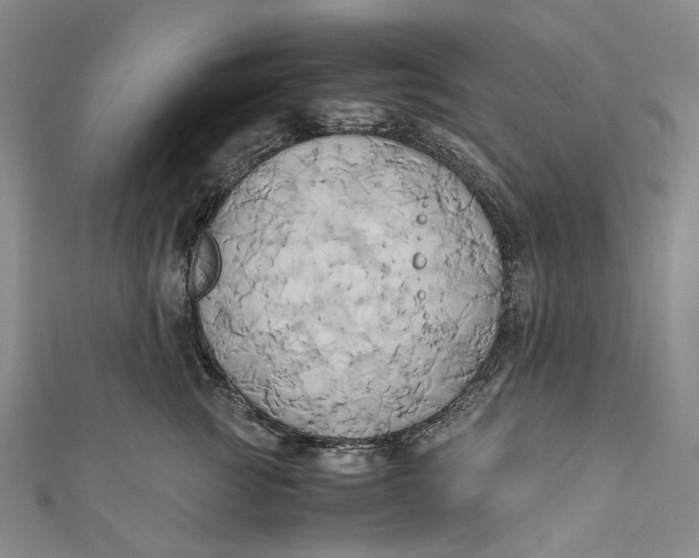 X0000110970761200907101348