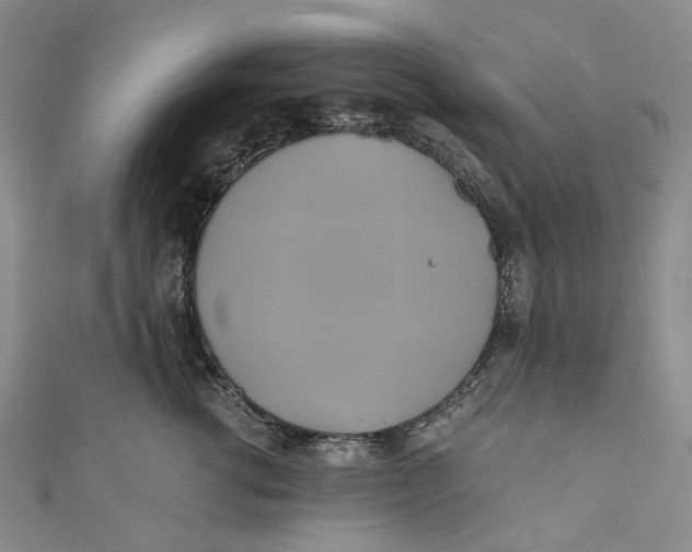 X0000110970762200907101348