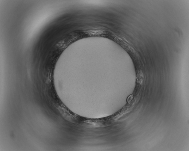 X0000110970763200907101348