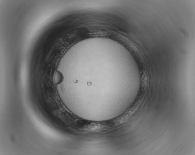 X0000110970764200907101348