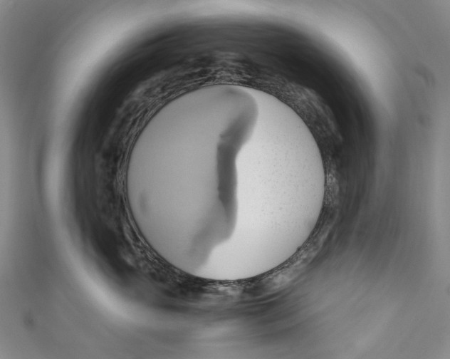 X0000110970765200907101348