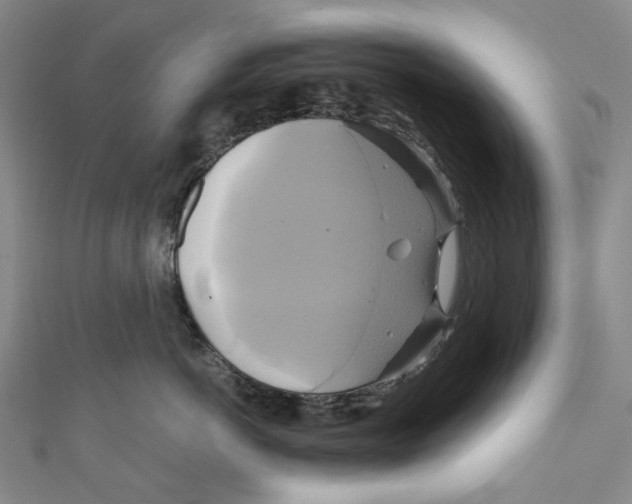 X0000110970766200907101348