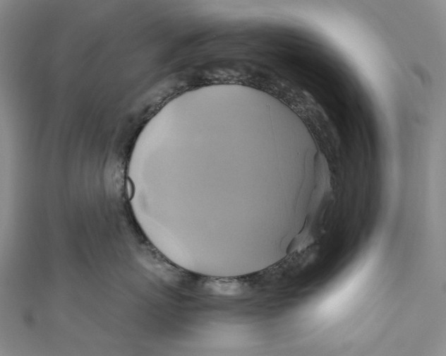 X0000110970767200907101348