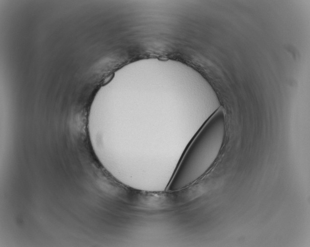 X0000110970768200907101348