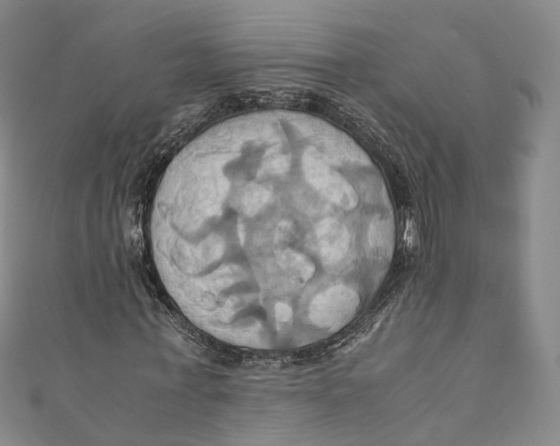 X0000110970771200907101348