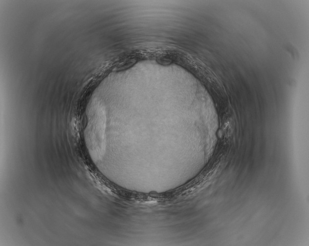 X0000110970772200907101348