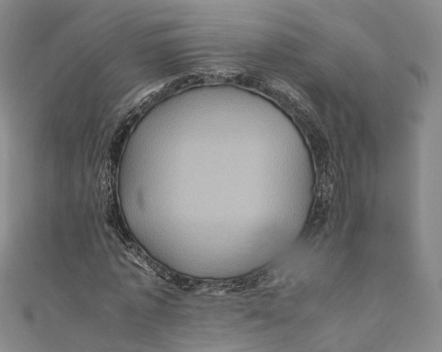 X0000110970773200907101348