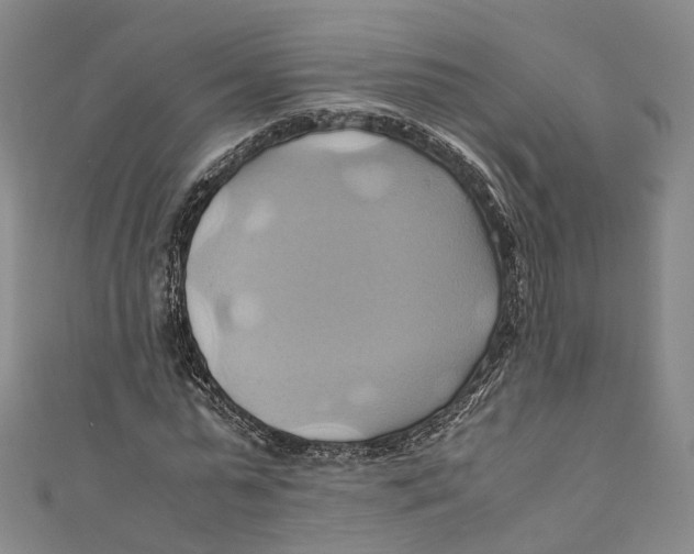 X0000110970775200907101348