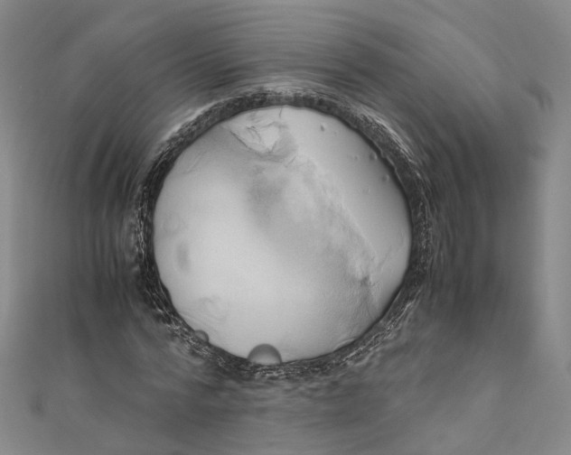 X0000110970776200907101348