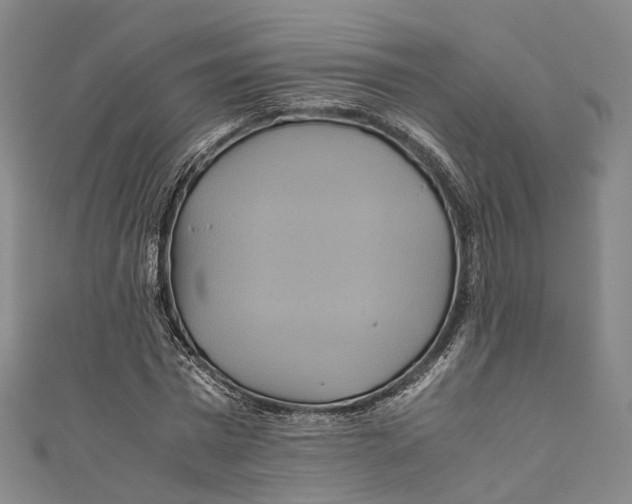 X0000110970777200907101348