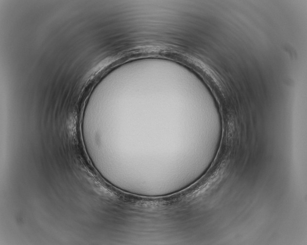 X0000110970778200907101348