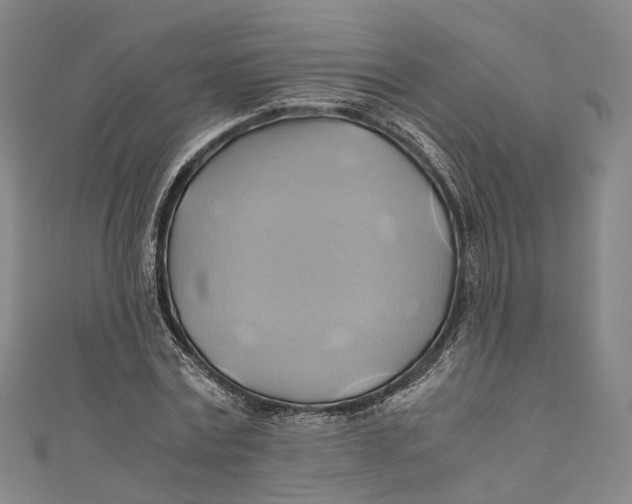 X0000110970779200907101348