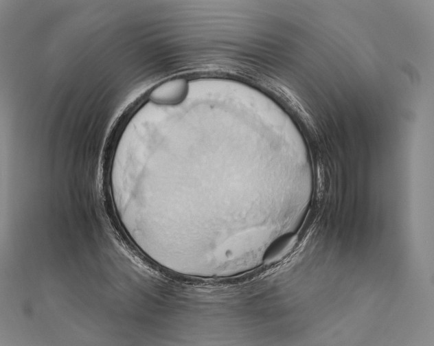 X0000110970780200907101348