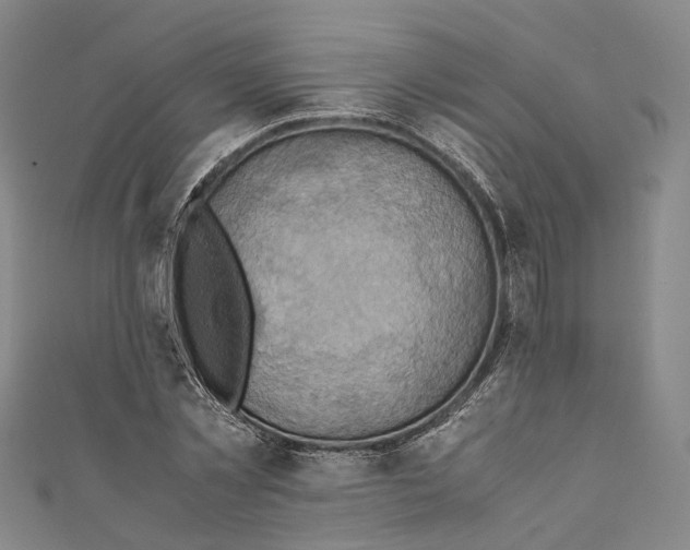 X0000110970781200907101348