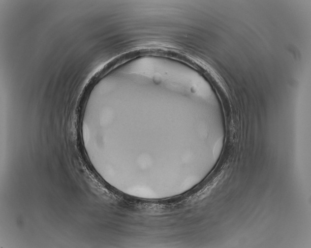 X0000110970783200907101348