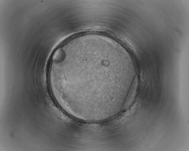 X0000110970784200907101348