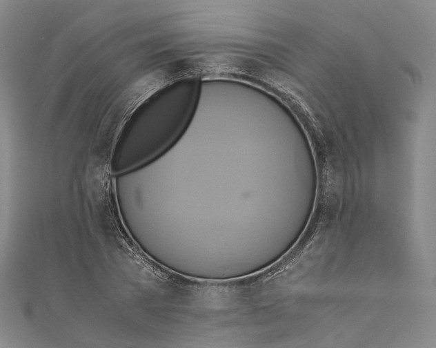 X0000110970785200907101348