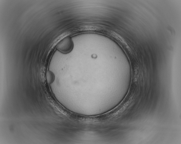 X0000110970786200907101348