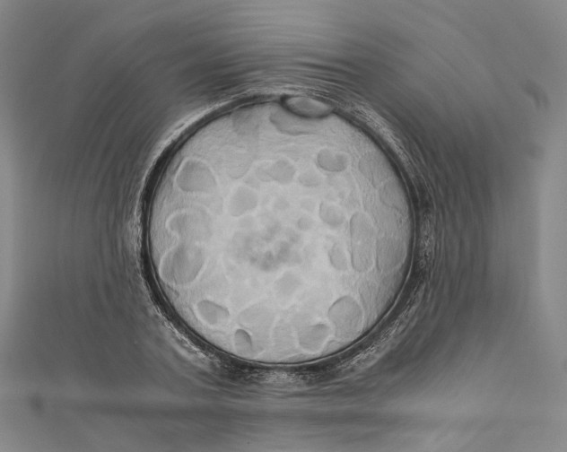 X0000110970787200907101348