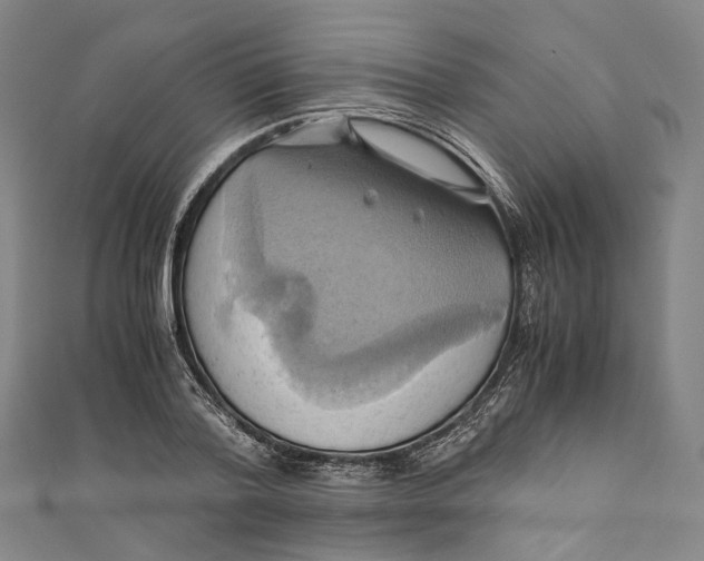 X0000110970788200907101348