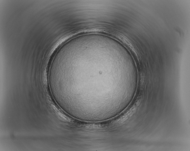 X0000110970789200907101348