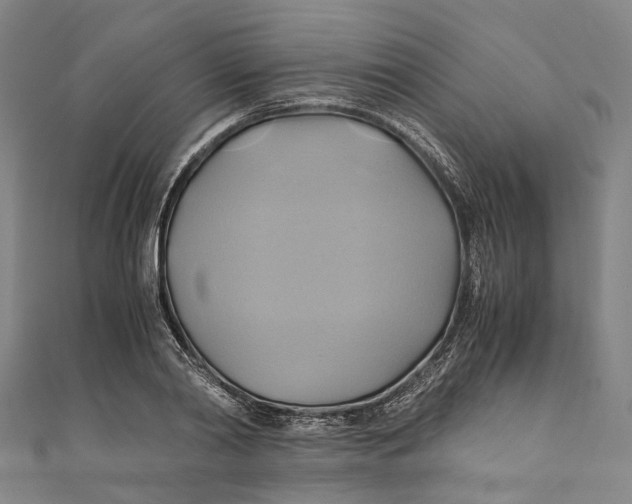 X0000110970790200907101348