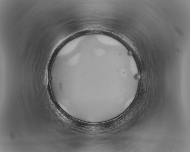 X0000110970791200907101348