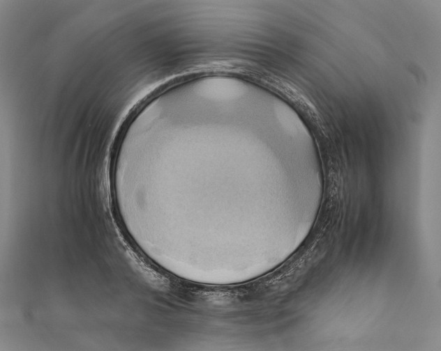 X0000110970792200907101348