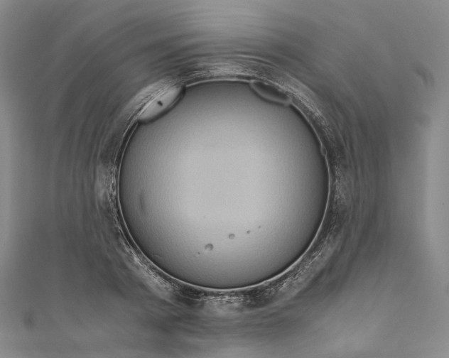 X0000110970793200907101348