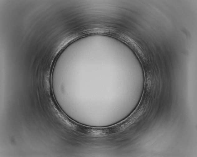 X0000110970794200907101348