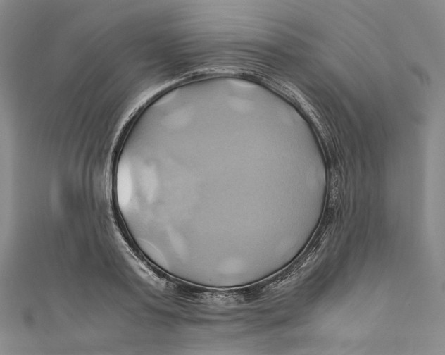 X0000110970795200907101348