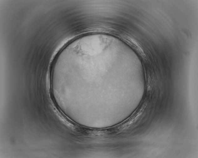 X0000110970796200907101348