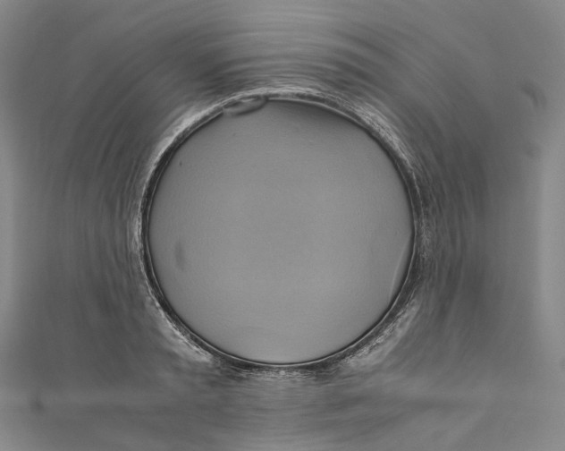 X0000110970797200907101348