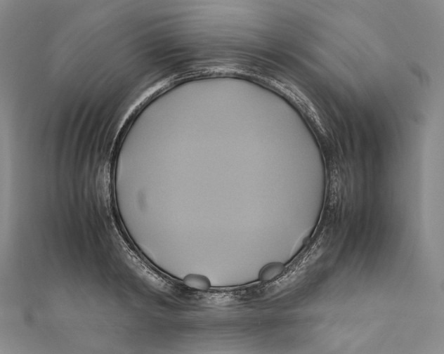 X0000110970798200907101347