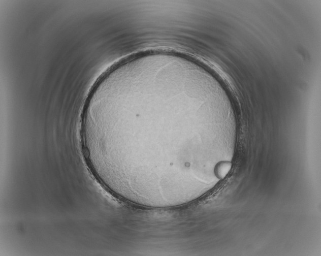 X0000110970799200907101347