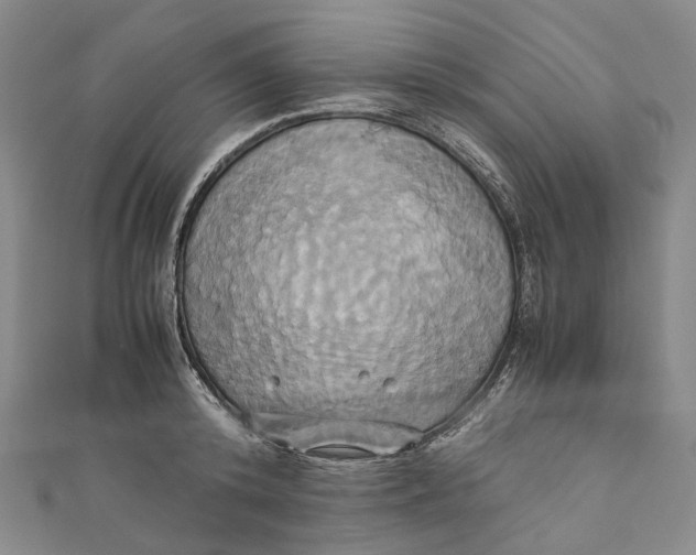 X0000110970800200907101347