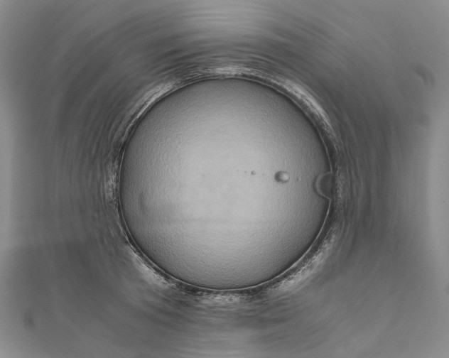 X0000110970801200907101347