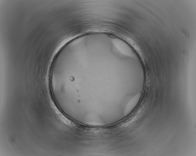 X0000110970803200907101347