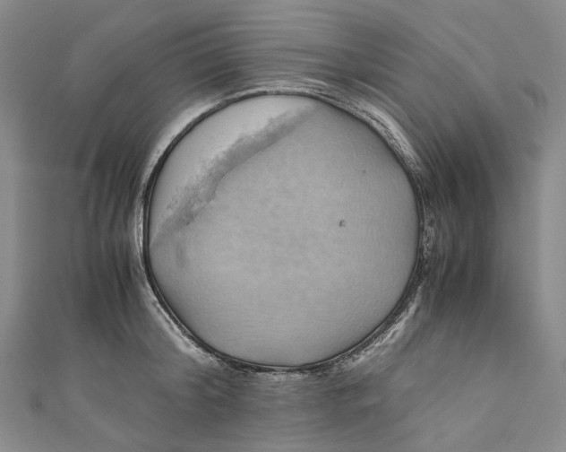 X0000110970804200907101347