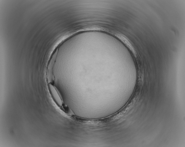 X0000110970805200907101347