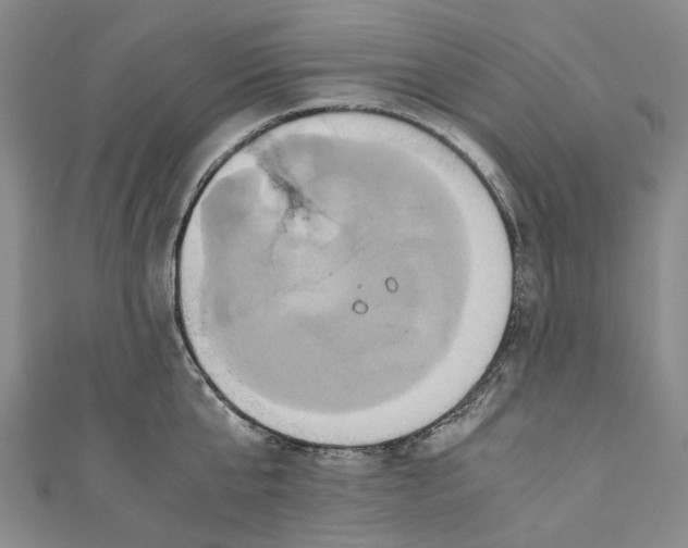 X0000110970807200907101347