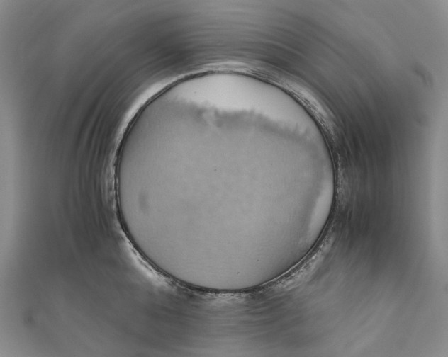 X0000110970808200907101347