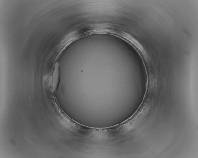 X0000110970809200907101347