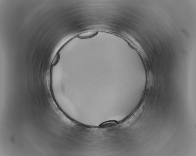 X0000110970812200907101347