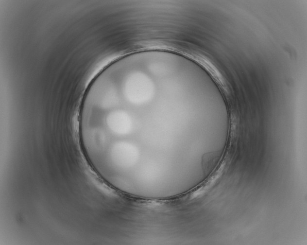 X0000110970814200907101347