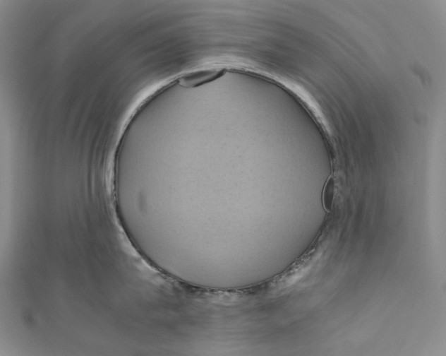 X0000110970815200907101347