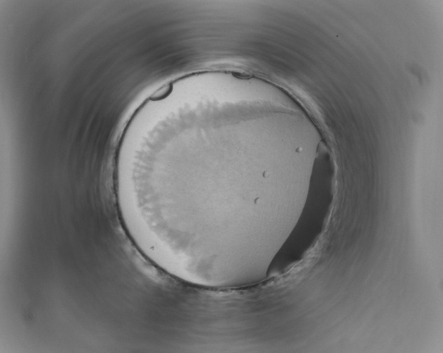 X0000110970816200907101347