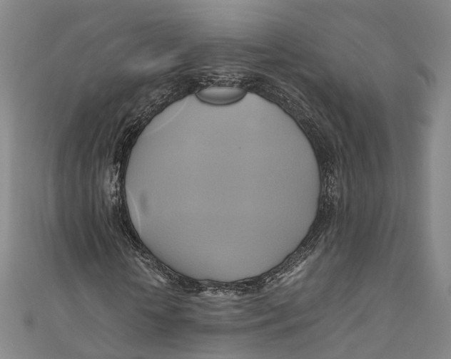 X0000110970818200907101347