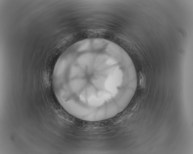 X0000110970819200907101347