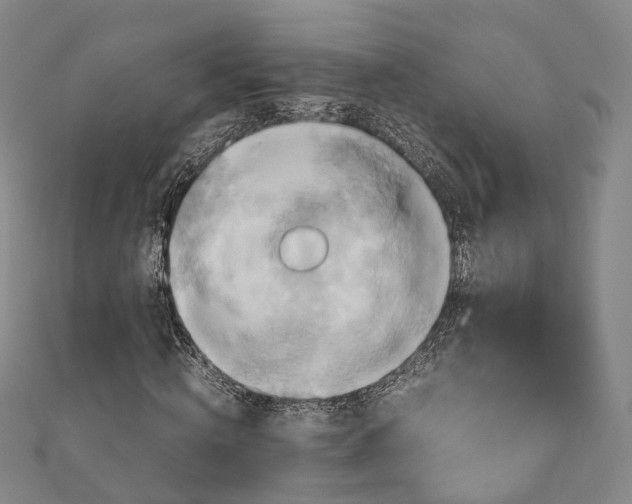 X0000110970820200907101347